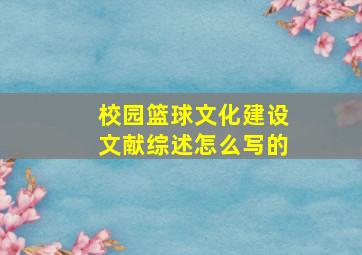 校园篮球文化建设文献综述怎么写的