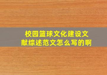 校园篮球文化建设文献综述范文怎么写的啊