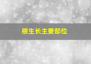 根生长主要部位