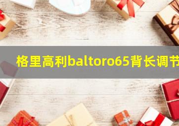 格里高利baltoro65背长调节