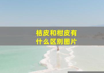 桔皮和柑皮有什么区别图片