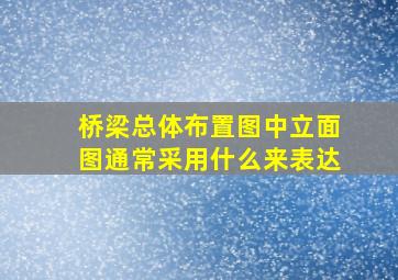 桥梁总体布置图中立面图通常采用什么来表达