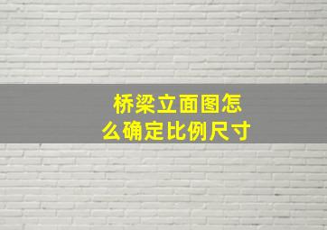 桥梁立面图怎么确定比例尺寸