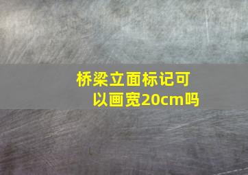 桥梁立面标记可以画宽20cm吗