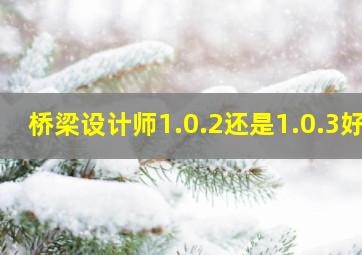 桥梁设计师1.0.2还是1.0.3好