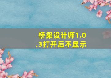 桥梁设计师1.0.3打开后不显示