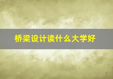 桥梁设计读什么大学好