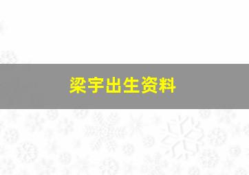 梁宇出生资料