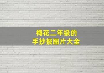 梅花二年级的手抄报图片大全