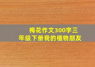 梅花作文300字三年级下册我的植物朋友