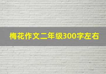 梅花作文二年级300字左右