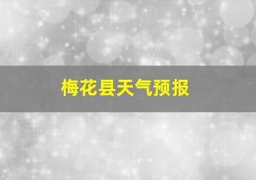 梅花县天气预报