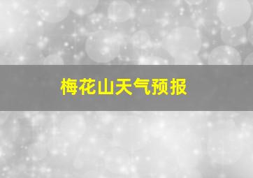 梅花山天气预报