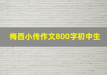 梅西小传作文800字初中生