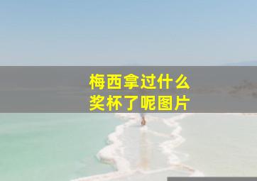 梅西拿过什么奖杯了呢图片