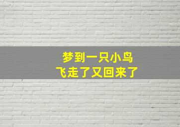 梦到一只小鸟飞走了又回来了