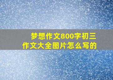 梦想作文800字初三作文大全图片怎么写的