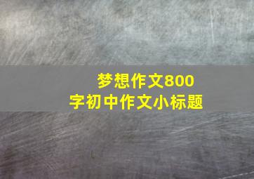 梦想作文800字初中作文小标题