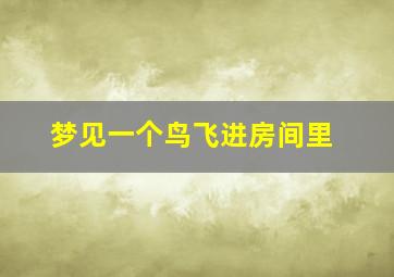 梦见一个鸟飞进房间里