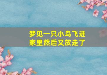 梦见一只小鸟飞进家里然后又放走了