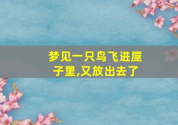 梦见一只鸟飞进屋子里,又放出去了