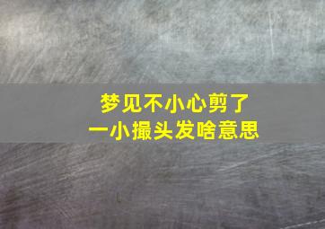 梦见不小心剪了一小撮头发啥意思