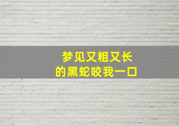 梦见又粗又长的黑蛇咬我一口