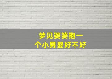 梦见婆婆抱一个小男婴好不好