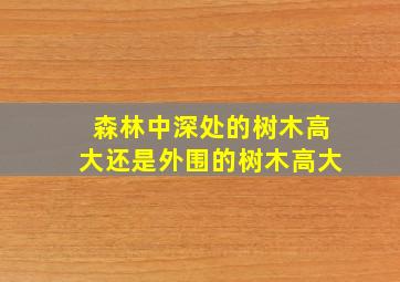 森林中深处的树木高大还是外围的树木高大