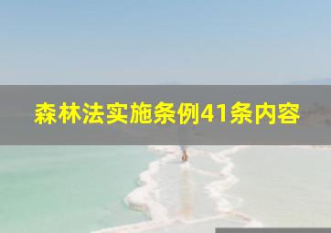 森林法实施条例41条内容