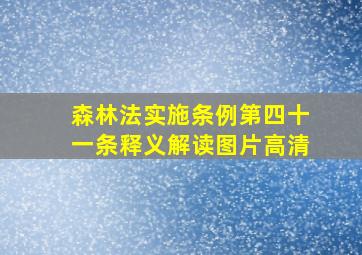 森林法实施条例第四十一条释义解读图片高清