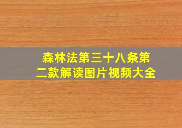 森林法第三十八条第二款解读图片视频大全