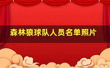 森林狼球队人员名单照片