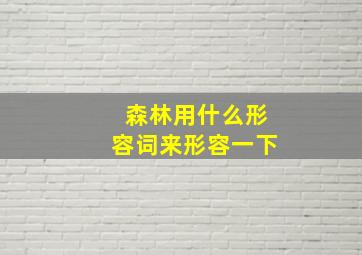 森林用什么形容词来形容一下