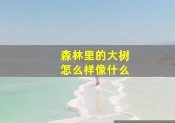 森林里的大树怎么样像什么