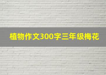 植物作文300字三年级梅花