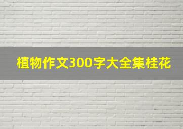 植物作文300字大全集桂花