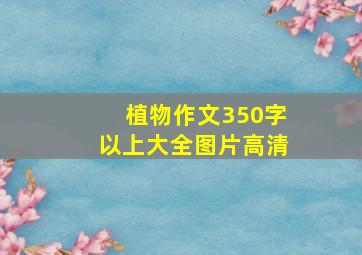 植物作文350字以上大全图片高清