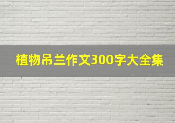 植物吊兰作文300字大全集