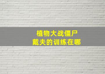 植物大战僵尸戴夫的训练在哪