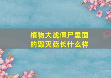 植物大战僵尸里面的毁灭菇长什么样