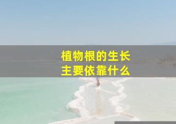 植物根的生长主要依靠什么