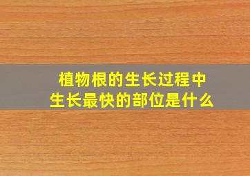 植物根的生长过程中生长最快的部位是什么