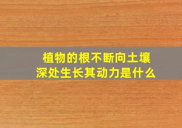 植物的根不断向土壤深处生长其动力是什么