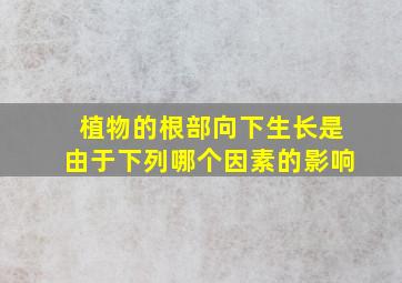 植物的根部向下生长是由于下列哪个因素的影响