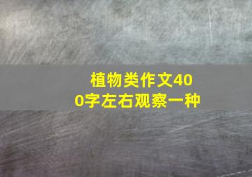 植物类作文400字左右观察一种