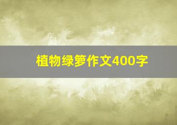 植物绿箩作文400字