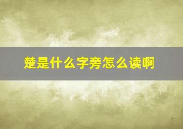 楚是什么字旁怎么读啊