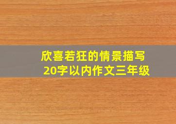 欣喜若狂的情景描写20字以内作文三年级