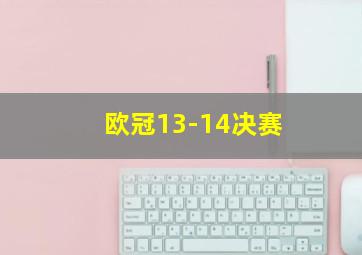 欧冠13-14决赛